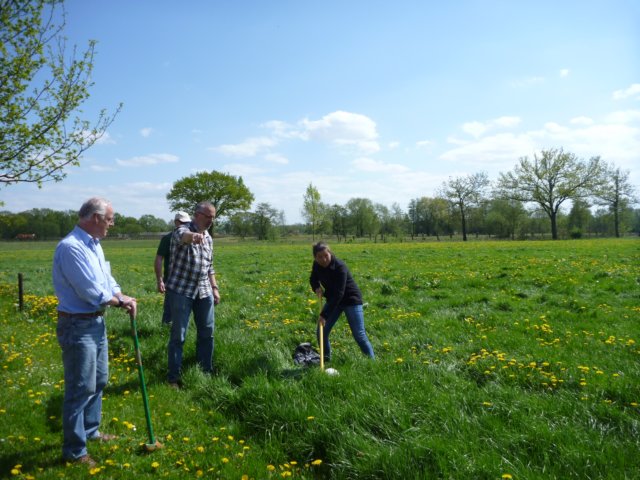2013 HWK017.jpg